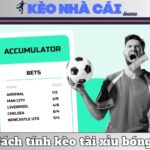 Cược Xiên Là Gì? Giải Thích Rõ Ràng, Thực Tế Và Cách Chơi 13 Cược Xiên Là Gì? Giải Thích Rõ Ràng, Thực Tế Và Cách Chơi