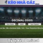 Tỷ Lệ Kèo Decimal Là Gì? Cách Cá Cược Dễ Thắng Nhất 13 Tỷ Lệ Kèo Decimal Là Gì? Cách Cá Cược Dễ Thắng Nhất