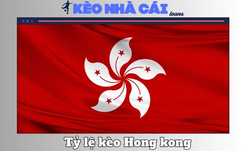 Tỷ Lệ Kèo Hong Kong - Cách Đọc Và Kinh Nghiệm Soi Kèo Thực Chiến 1 Tỷ Lệ Kèo Hong Kong – Cách Đọc Và Kinh Nghiệm Soi Kèo Thực Chiến